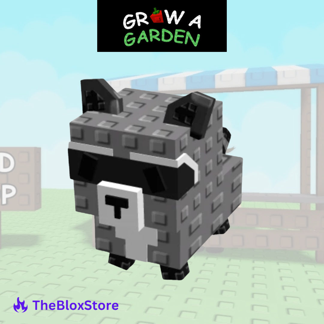 Raccoon