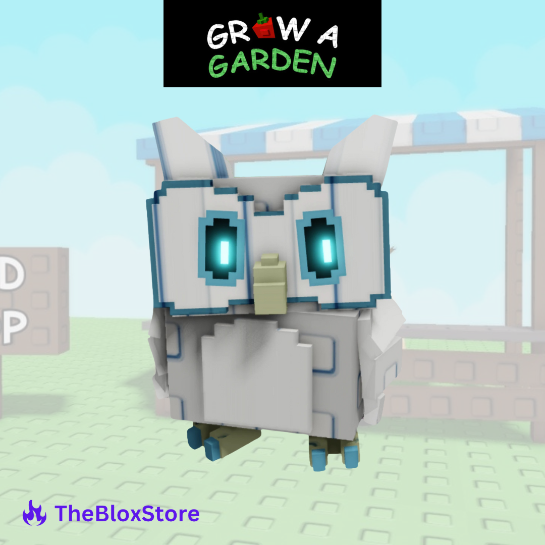 Owl