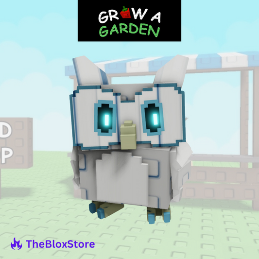 Owl
